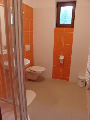 Koupelna - apartmán 1